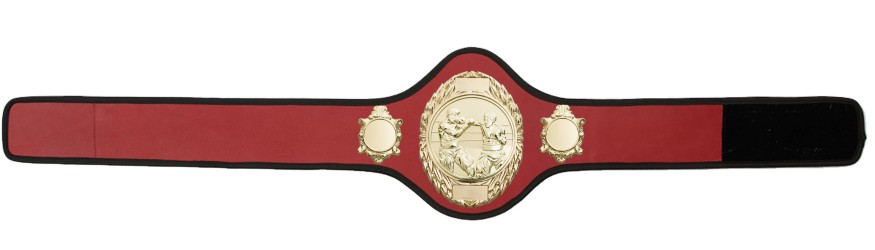 BOXING CHAMPIONSHIP BELT-PRO286/G/BOXG-10+ COLOURS